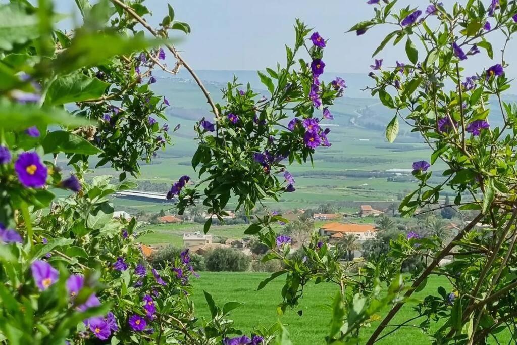Suite Kolibri In Galilee Semadar Экстерьер фото